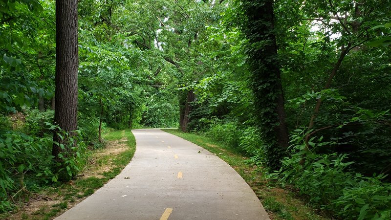 Close to the beginning of the east end of the trail near Horsebarn.