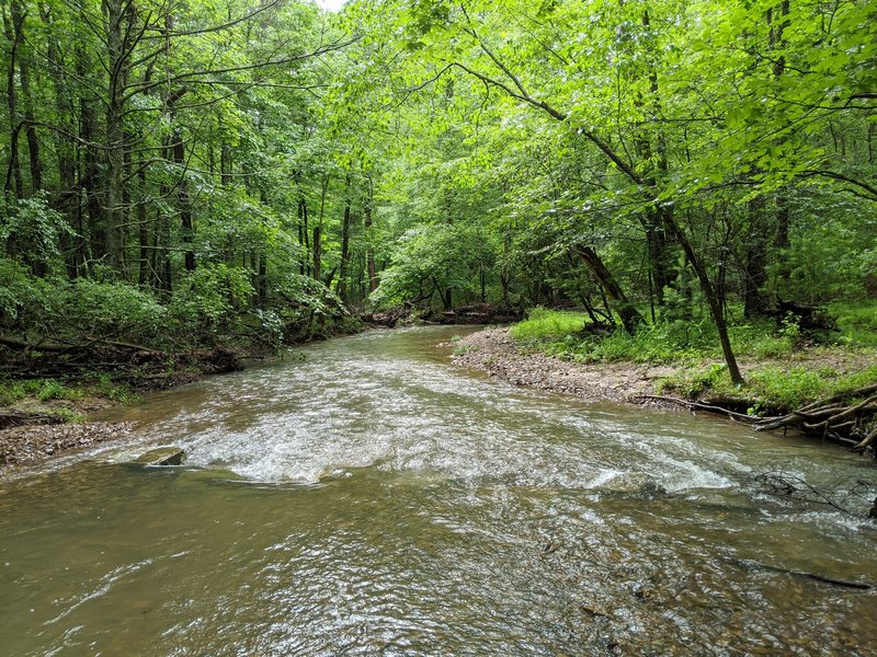 Creek on Poverty Creek.