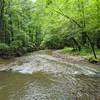 Creek on Poverty Creek.