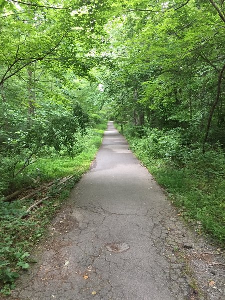 Along the way towards Burke Lake