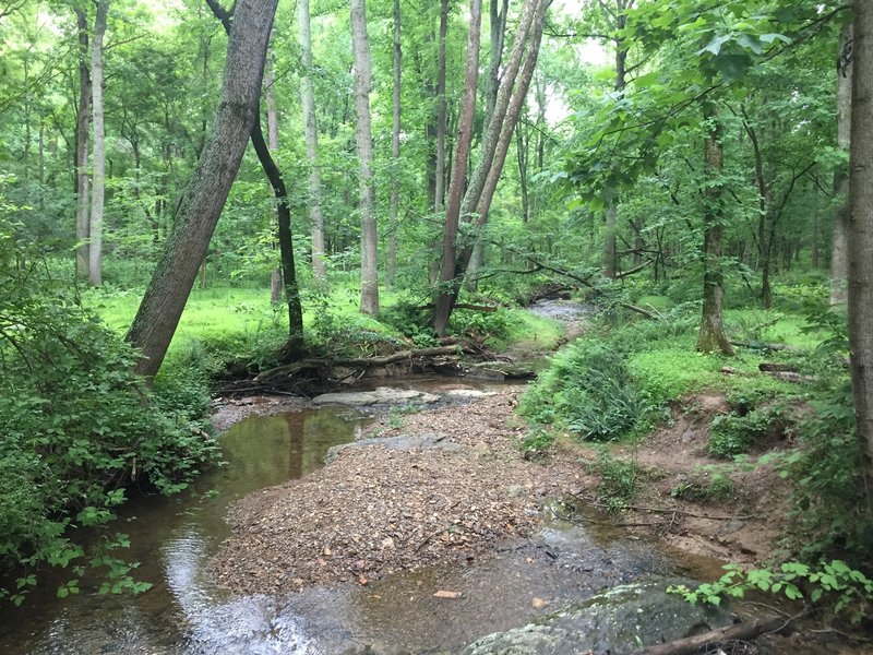 Near Seneca Creek