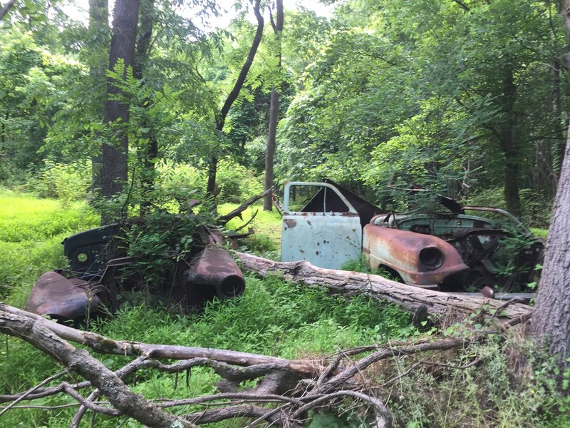 A couple old vehicles past their prime a few yards off the Seneca Trail