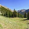 Marmot Trail