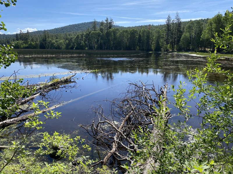 Beautiful Morning view from Mazama trail.