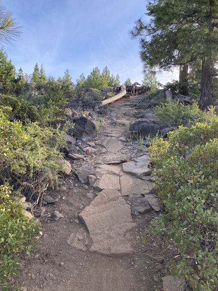 Some of why this trail has a black diamond rating