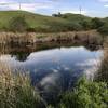 Beautiful day at Upper Sycamore Grove Park