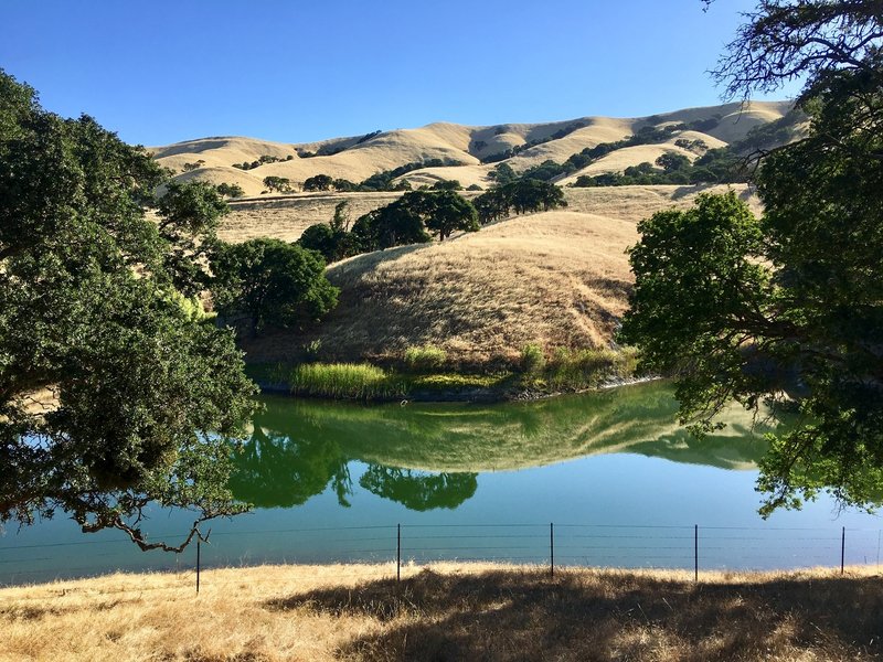 Beautiful reflection off of Heron Bay Multi-Use Trail