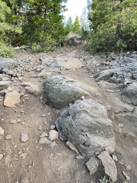More reason for the black diamond rating on South Ridge Trail