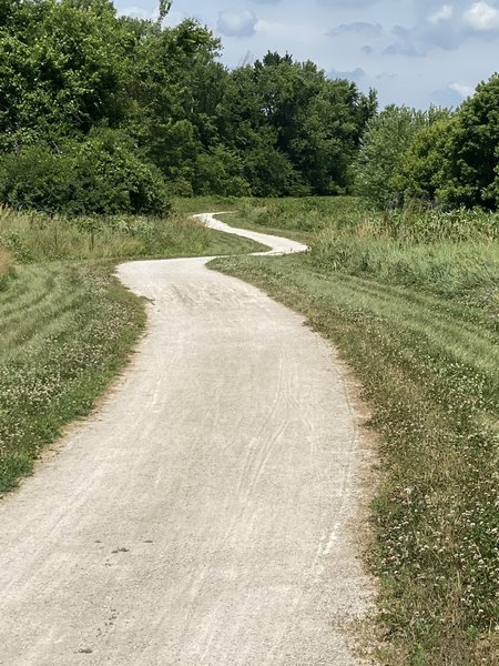 Sunny patch of trail