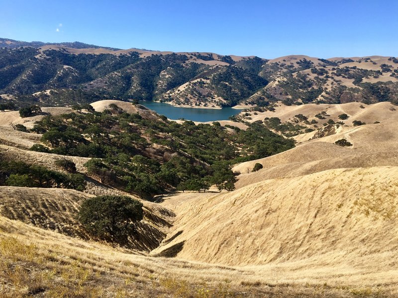 View from one of the Del Valle area hill tops.