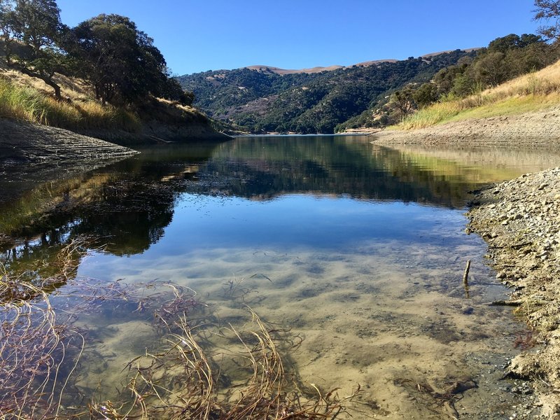 Reflecting off and looking through the water surface of the low lake line.