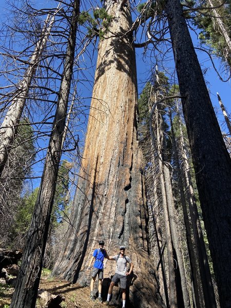 Graveyard of the Giants