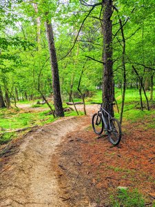 At the tail end of the Wagon Trail