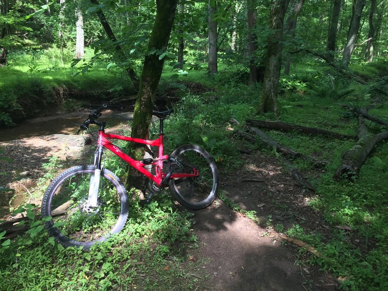 A bike at rest