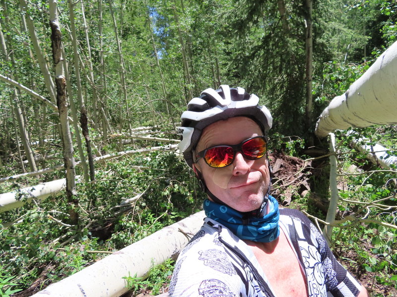 Conditions on Hay Park about a mile up from Capitol Creek mid June 2020. Bring a chain saw... Quite the adventure, all the way to Dinkle Lake TH, with plenty of downed trees along the way.