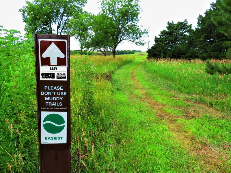 Trail entrance at the trailhead, facing west.