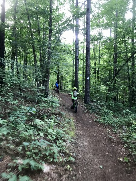 Overcast evening on the White Trail.