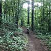 Overcast evening on the White Trail.