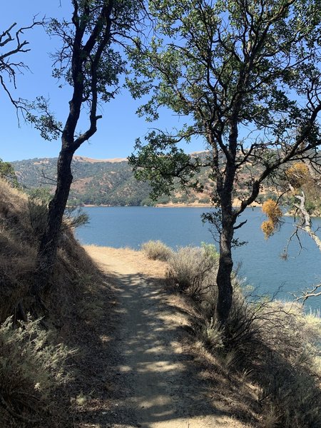 Swallow Bay Trail cut through.