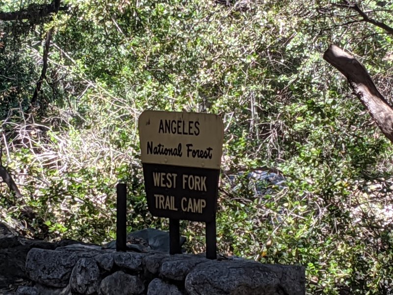 From this point up, trees blocking the trail constantly. People have trimmed them slightly so you can hike-a-bike and get all the way through. Needs to be cleared.