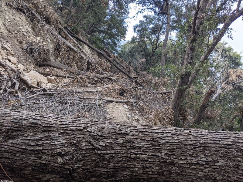 Typical conditions on much of second section ascending from West Fork Trail Camp.