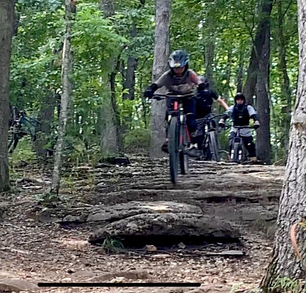 Leatherwood Gravity Trails - DH3.