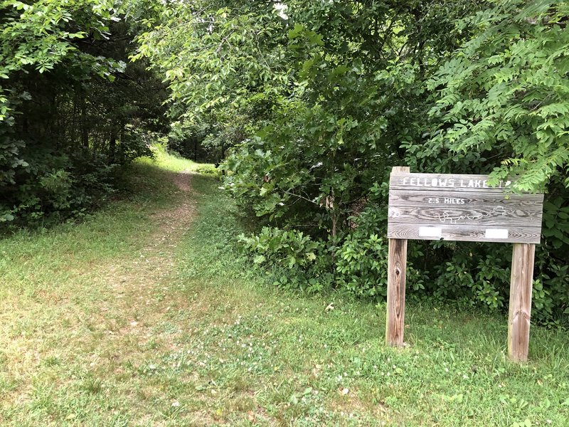 Start of the trail