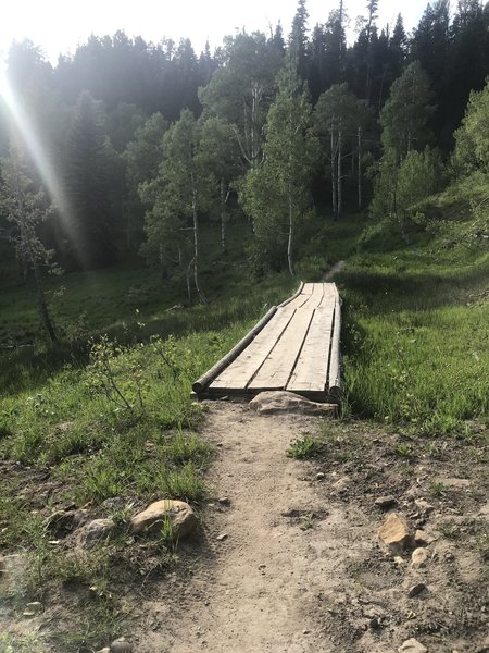 Many great little bridges on the trail.