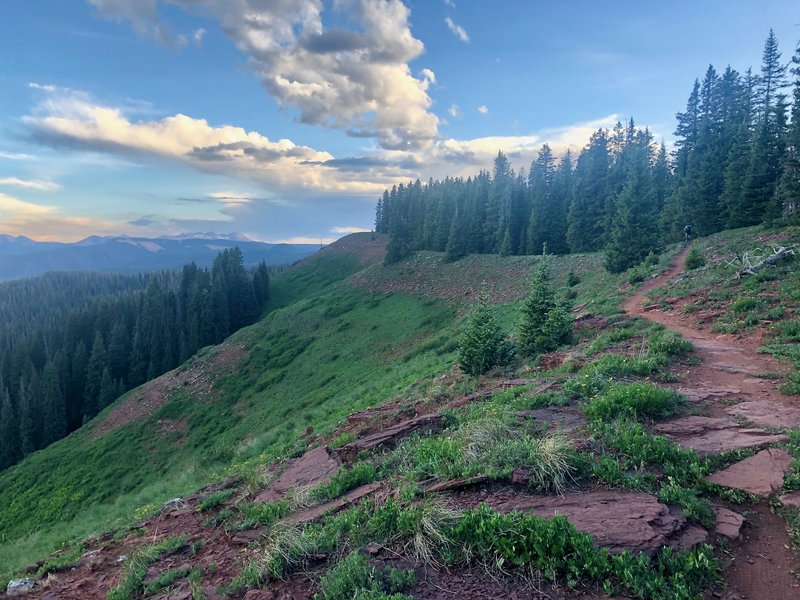 Along the Colorado Trail section