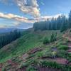 Along the Colorado Trail section