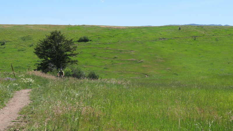 Switchbacks on hill