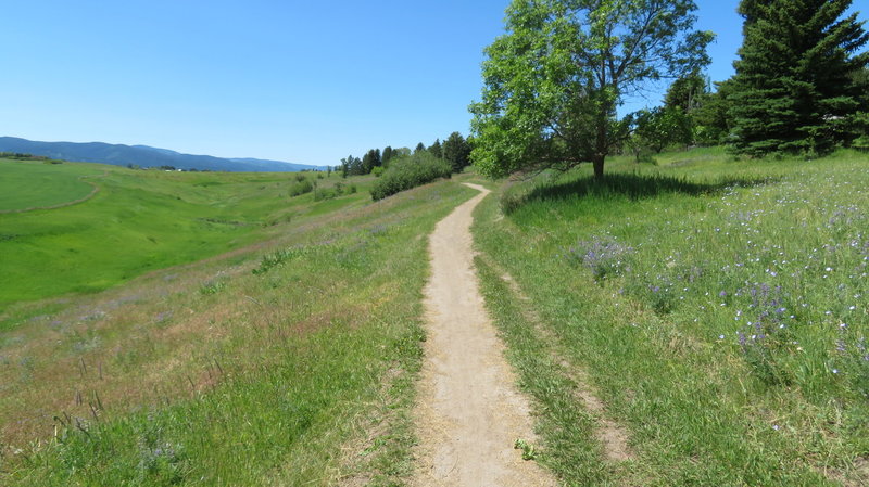 Nice trail system.