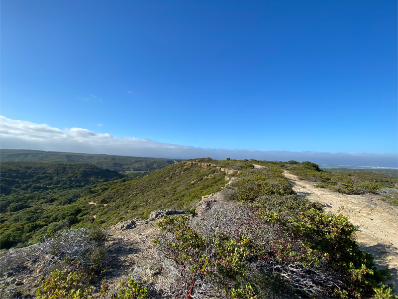 Lookout Ridge View