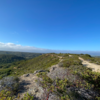 Lookout Ridge View