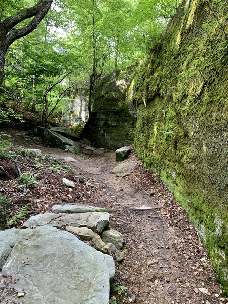 Towering boulders scattered about the trail