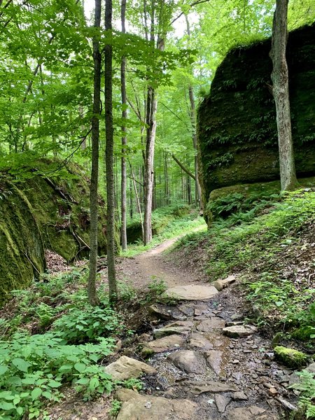 Work your way around the boulders.