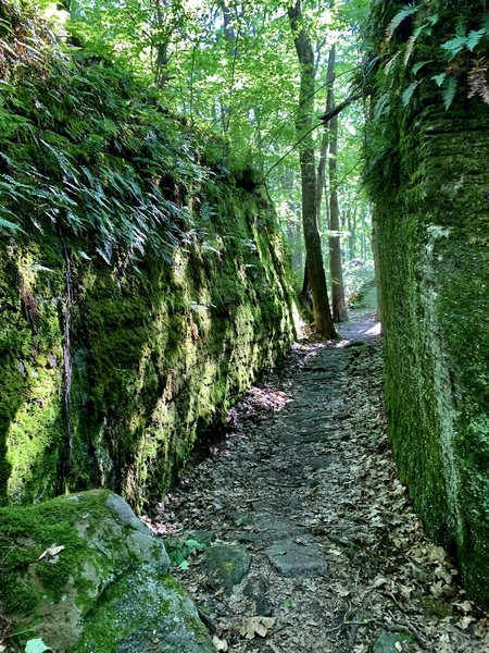 Wind your way through towering rock formations.