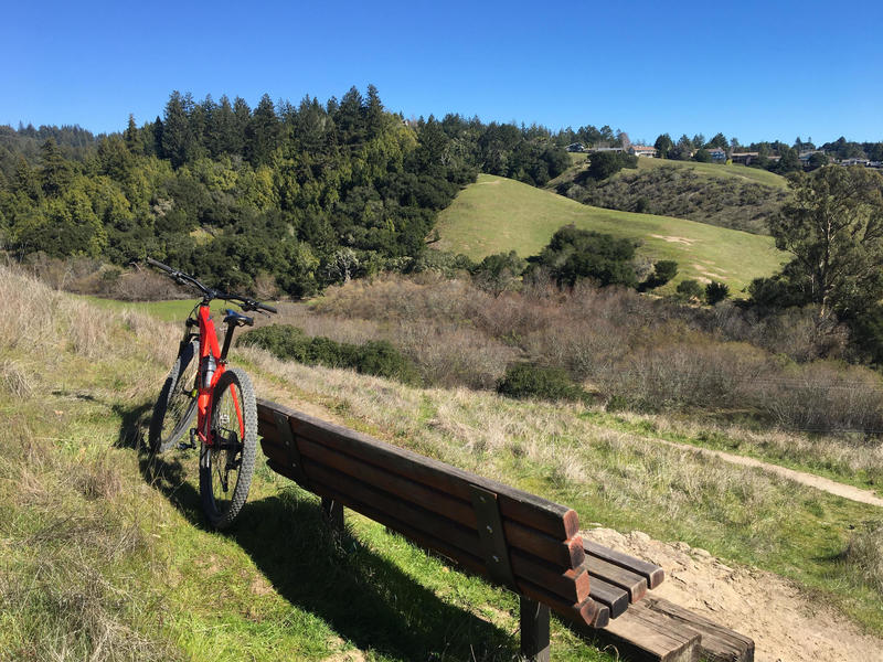 The bench... the bike... near the Entrance Trail at Glenwood Preserve.