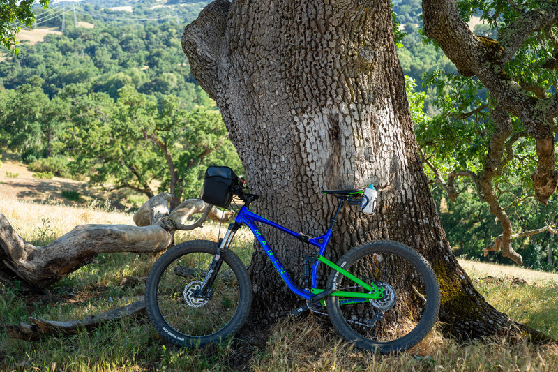 Taking a break on Hotel Trail