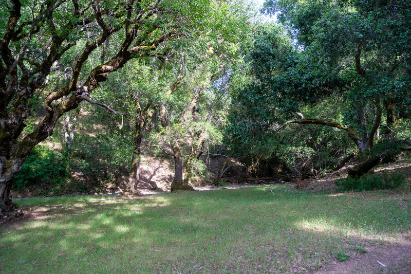 River canyon on Hotel Trail