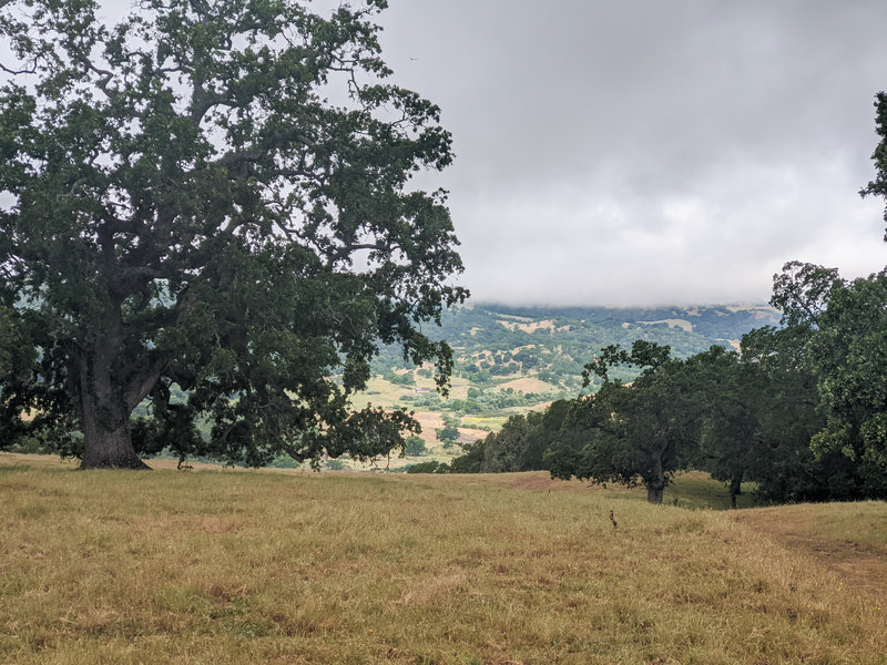 Looking down toward the valley