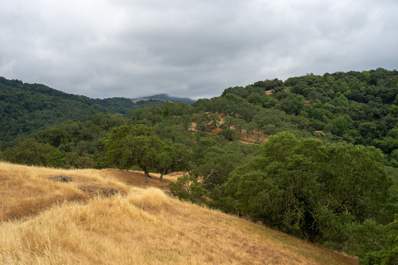 Overcast spring day