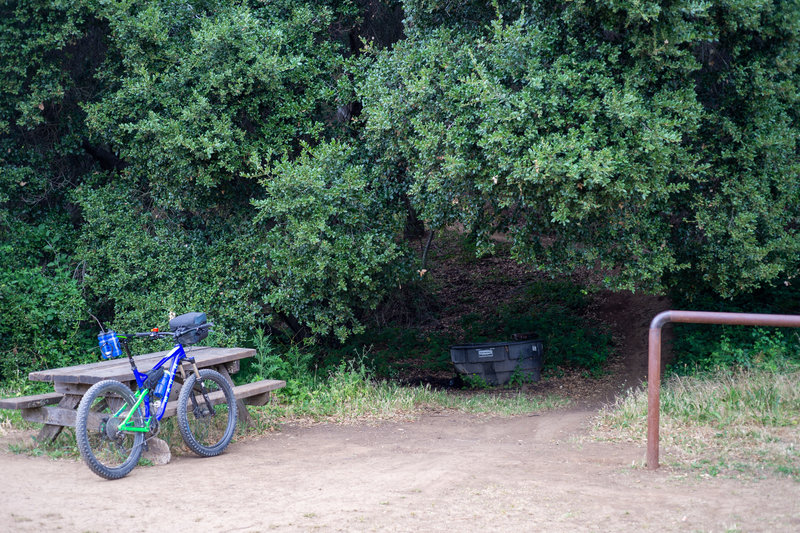 Picnic table at the top of the trail