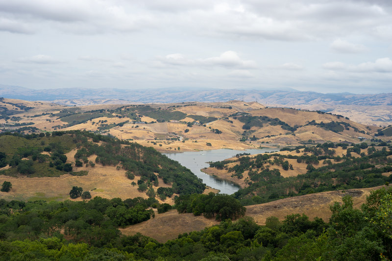 Calero Reservoir overlook