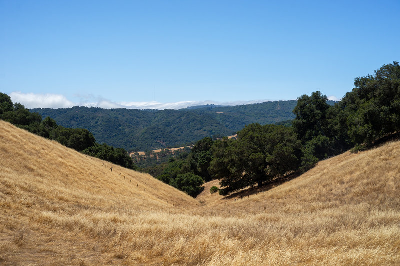 Near the top of the trail