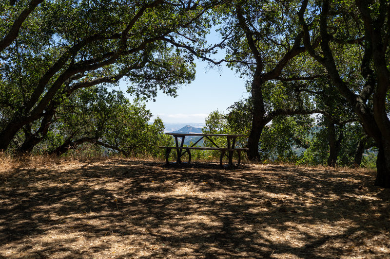 Picnic Bench