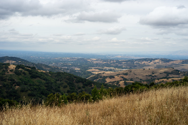 Vista of Silicon Valley