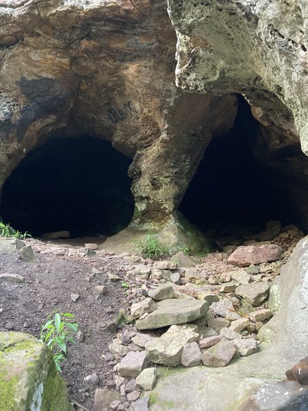 Coyote Cave