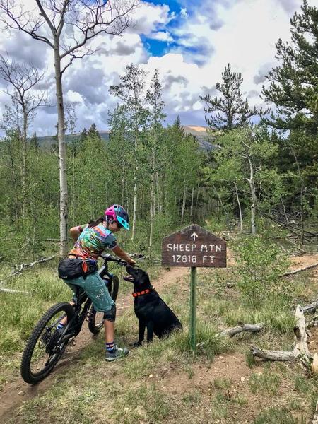 Viewpoint of Sheep Mtn