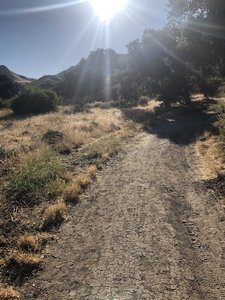 Most of what the trail looks like